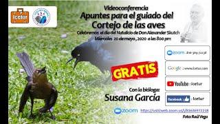 Apuntes para el Guiado sobre el cortejo de las aves