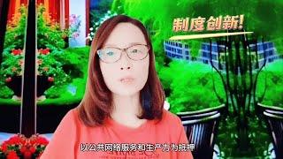 制度创新重要吗？