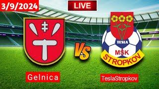 TeslaStropkov Vs Gelnica | Slovak Cup | Fifa Live Score Match 2024