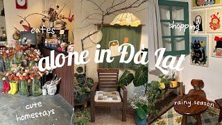 một mình ở Đà Lạt mùa mưa... rồi sao nữa?!  cafe, shopping & tình iu mới với bánh mì xíu mại 