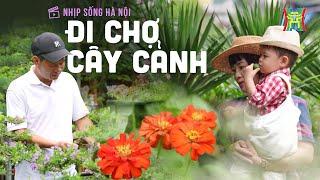 Đi chợ cây cảnh | Nhịp sống Hà Nội