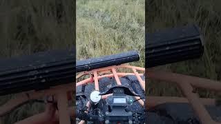 Ковровое болото на Авантис Хантер 200(Оранжевая 200-ка) #квадроцикл #путешествие #покатушки #shorts