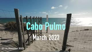 Cabo Pulmo - March 2023