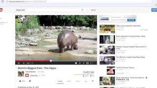 Turning Off Audio on YouTube : The Tech Factor