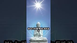 제56게송 #불교 #법구경 #부처님말씀 #명상음악 #불교명상 #법향의소리 #부처님법문 #자비 #지혜 #열반 #진리의말씀 #마음공부