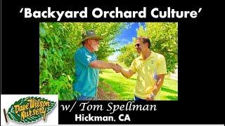 How To Care For Backyard Orchard Fruit Trees  |  'BACKYARD ORCHARD CULTURE' @ Dave Wilson Nursery
