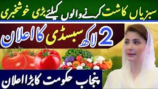 2 Lac Subsidy for Vegetables(Tomatoes) by Punjab Govt | How to Apply for Vegetable Subsidy Scheme