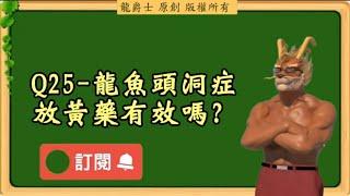 【龍爵士】千問千答 Q25 龍魚頭洞症放黃藥有效嗎