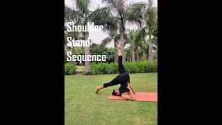 Shoulder stand sequence