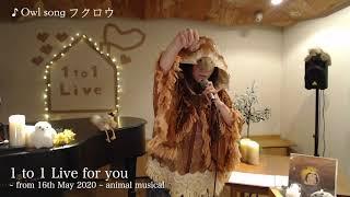 KOKIA  1 to 1 Live for you clips from Animal musical