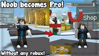 Part 1 of Going Noob to Pro on a New Account With 0 Robux! - Roblox Bee Swarm Simulator