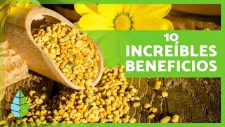 10 BENEFICIOS del POLEN de ABEJA   (Para Qué Sirve y Cómo Consumirlo)