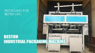 Beston Pulp Molded Industrial Packaging Machine