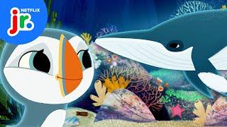 Oona and Silky’s Baby Whale Rescue Mission  Puffin Rock | Netflix Jr