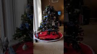 Christmas Tree 2020 with Grand Trunk Western train circling