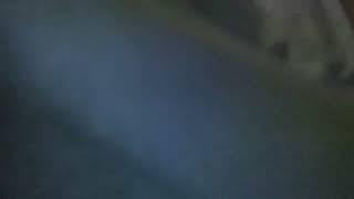@София Cat-куклы 
