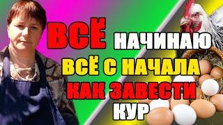 ВСЁ, начинаю всё с начала. Как избежать ОШИБОК при выборе кур, построении курятника...