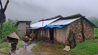 Naturally Peaceful And Beautiful Himalayan Mountain Village Life in Rainy Season || Rural Life Nepal