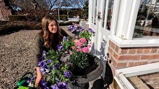 Donating a Succulent Arrangement, Spring Container Planting + Pruning Roses & Hydrangeas! ️