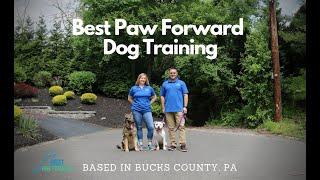 Best Paw Forward Dog Training in Bucks County Pa