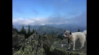 Hiking the Romanian Carpathians - The Retezat and Tulisa Mountains [Balkans Ep1]