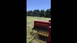 2022 square bales back field with new holland tn65 and new holland 570 square baler