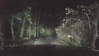 Night driving - Heavy rain on lonely Forest Roads [ASMR]