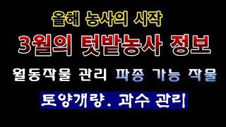 [텃밭농부 1,794]  올해 농사의 시작 3월의 텃밭농사 정보. #월별농사정보