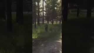 Попала в пати к добрякам! #shorts #eft #escapefromtarkov