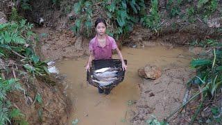 Orphan Life Harvesting fish by hand from the lake and sell it to the village - Green forest life