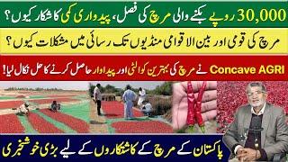 Chili Farming in Pakistan | Why Farmers Avoid a Profitable Crop | Dr Azeem Analysis