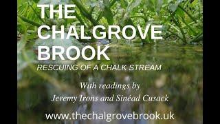 The Chalgrove Brook - Rescuing A Chalk Stream