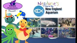 Zoo Montages - Episode 2 - the New England Aquarium (2022)