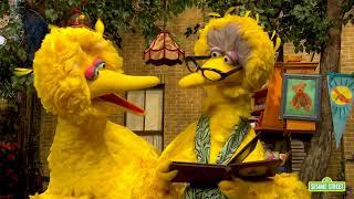 Big Bird and His Granny