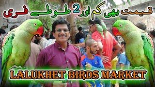 Lalukhet Exotic Parrots and Rare Birds Market Karachi 21-7-2024 Latest Update in Urdu | سوق الطيور