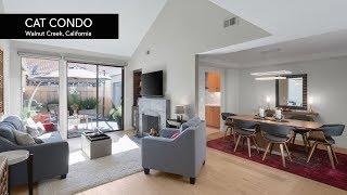 California Modern Interior Design #135 | Cat Condo (Cat House) | Walnut Creek, CA