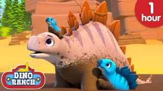 Stuck In The Mud! | Dino Ranch
