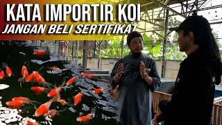 PENANGANAN IKAN KOI IMPOR MASUK INDONESIA | PT SEGORO KURNIA JAYA | FEI KOI