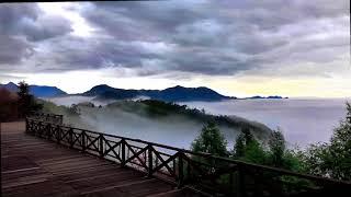 雪杉居雲海--阿杉哥,lee fang ping李芳斌