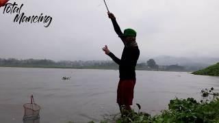 Kumpulan Video Mancing Nila