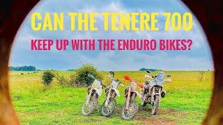 Tenere 700 meets enduro trials group