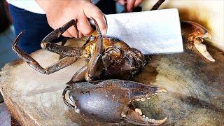 GIANT MUD CRAB Seafood Street Food