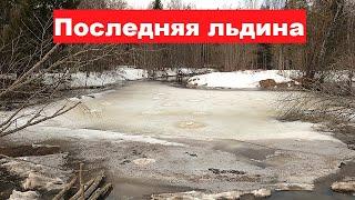 На последней льдине! Отдых в лесу. Дорогая посылка из подмосковья.