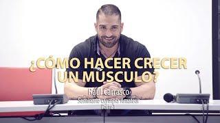 ¿CÓMO HACER CRECER AL MÚSCULO? | Seminaro Raúl Carrasco Parte 1