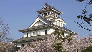 滋賀県　長浜城・豊公園の桜 [HD]