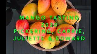 Mango Tasting 2020: Pickering, Carrie, Juliette, and Edward mango.
