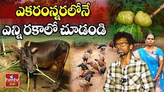 ఎకరంన్నరలోనే ఎన్నో పంటలు | Nelathalli | hmtv Agri