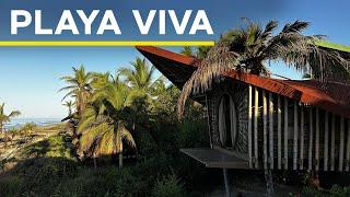 Why I Stayed Here 2X in 1 Year: Inside Playa Viva