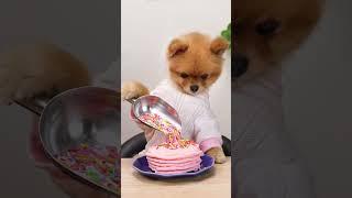 do you like the cake made by coco?#chefcoco #lifehack #foryou #cute #valentinesday #dogsoftiktok