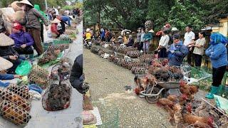 Chợ "Noong Đúc" Sơn La - Của Ngon - Vật Lạ - Được Bày Bán La Liệt Bao Nhiêu Cũng Không Đủ Bán